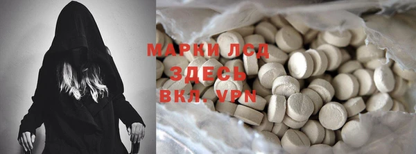 PSILOCYBIN Волосово