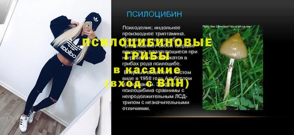 гашик Володарск